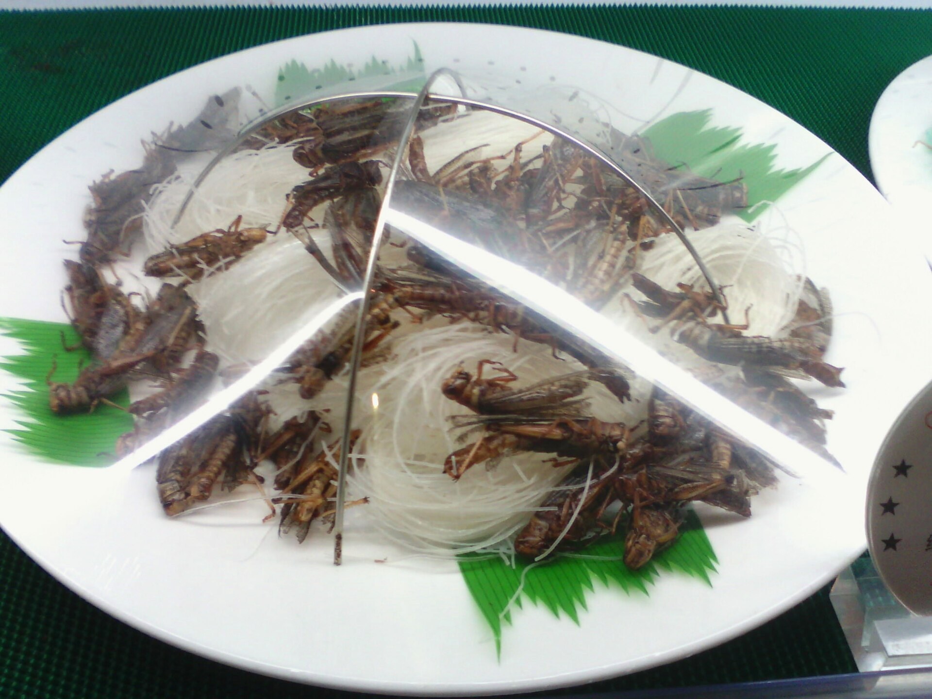 Cooked grasshoppers served with rice noodles in China.