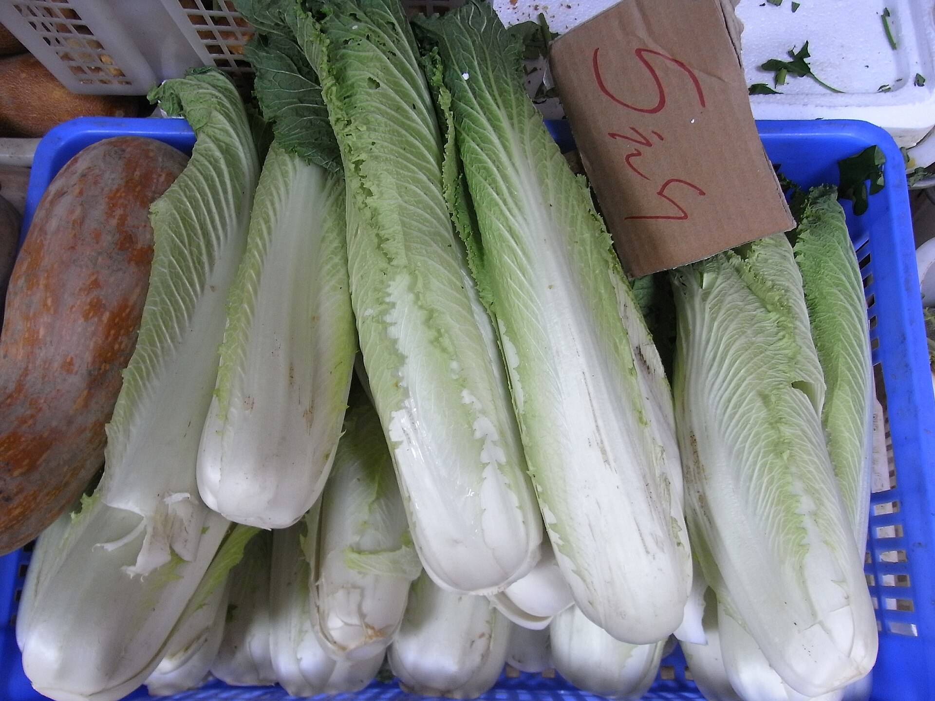 Chinese cabbages arranged for sale at a market.