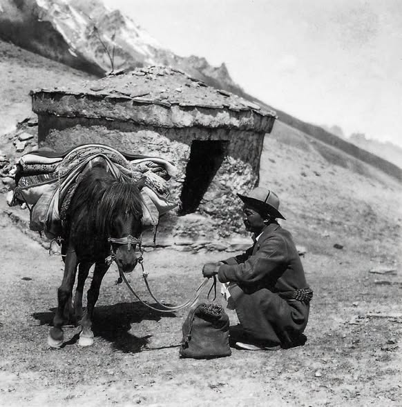 מוביל שיירה ובהמת משא בדרך ההרים שבין קשמיר לאגן טארים